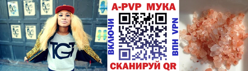 купить сайты маркетплейс телеграм Альфа ПВП СК Кинешма