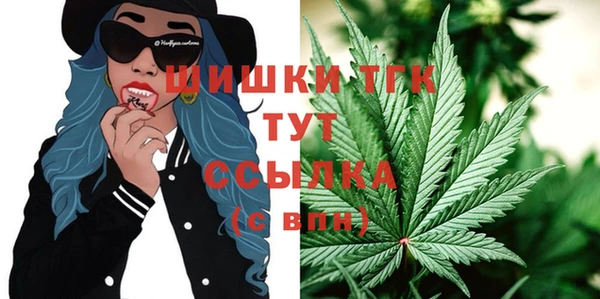 СК Белокуриха