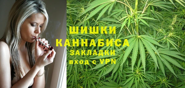 бутират Богородицк