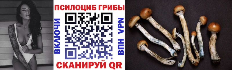 сколько стоит  Кинешма  Галлюциногенные грибы мухоморы 